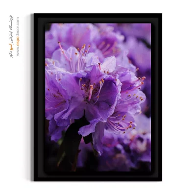 خرید تابلو پاستلی - آزالیا یاسی – تابلو گل - اسپو دکور