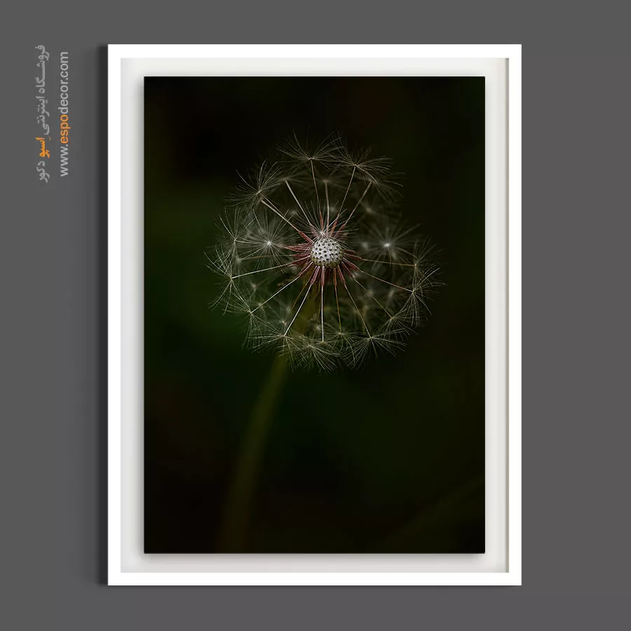 تابلو آرزوها - قاصدک – تابلو گل - اسپو دکور