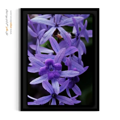 تابلو بنفش و یاسی - خوشه گل ستاره‌ای – تابلو گل - اسپو دکور