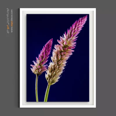 خرید تابلو دکوراتیو - گل سنبله‌ای صورتی – تابلو گل - اسپو دکور