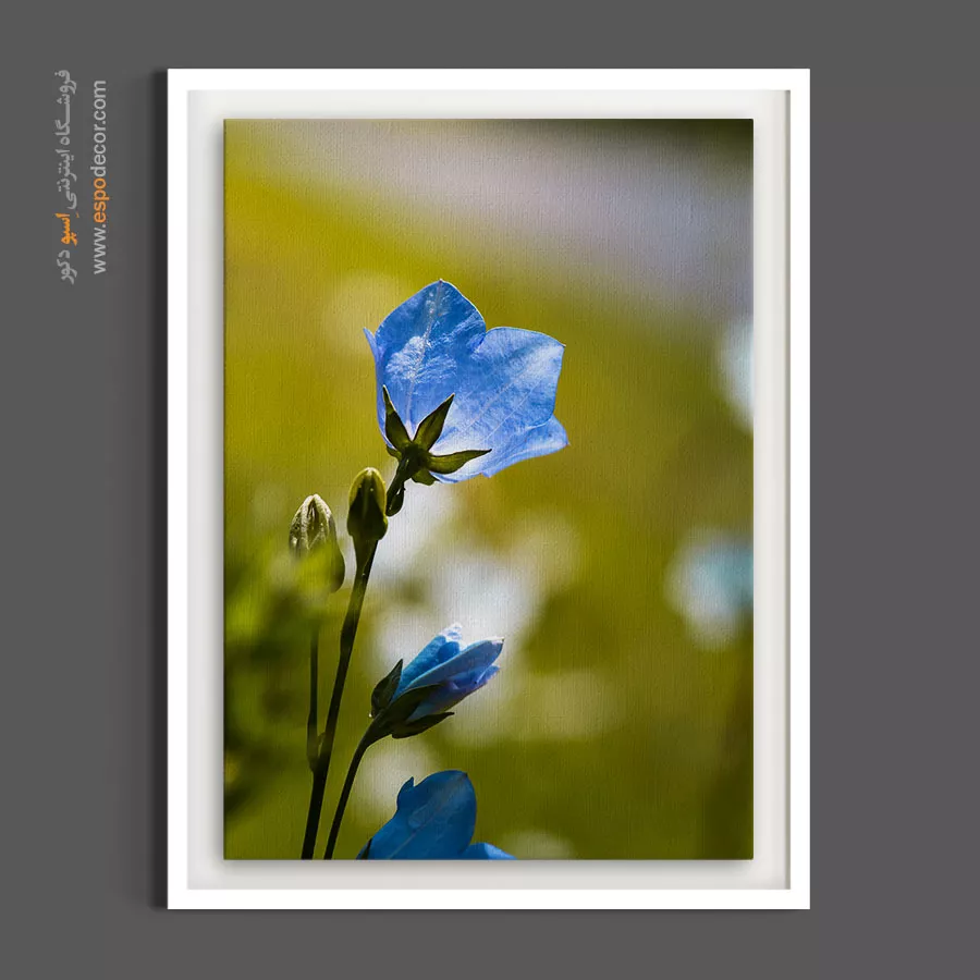 تابلو اتاق خواب - گل زنگولهای – تابلو گل - اسپو دکور