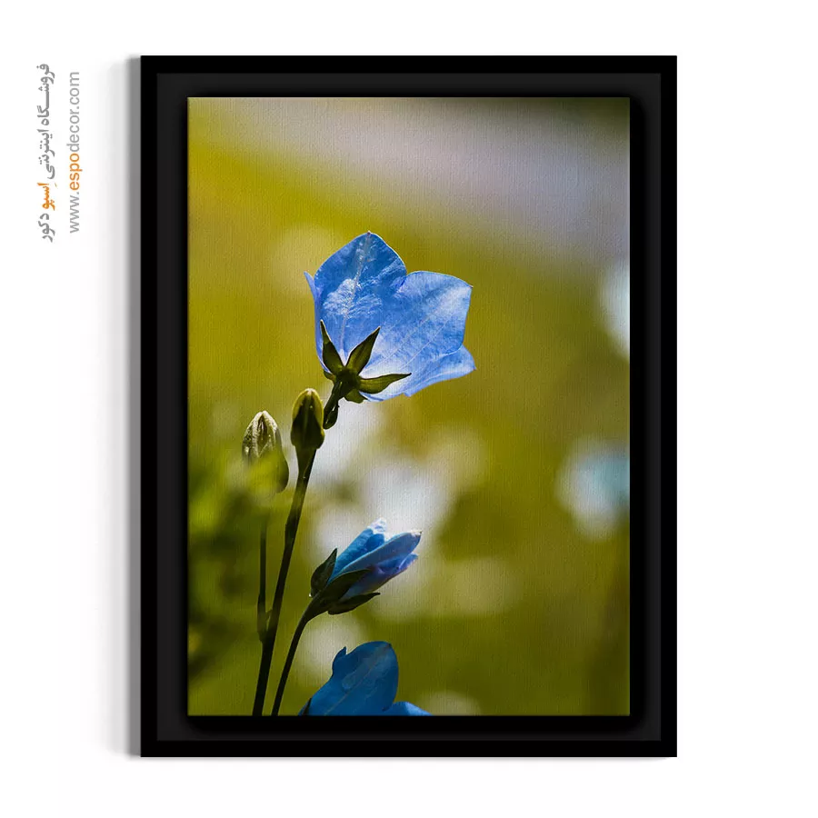 تابلو اتاق خواب - گل زنگولهای – تابلو گل - اسپو دکور