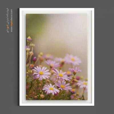 تابلو آرامش بخش - مارگریت رؤیایی – تابلو گل - اسپو دکور