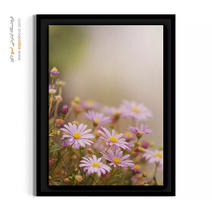 تابلو آرامش بخش - مارگریت رؤیایی – تابلو گل - اسپو دکور