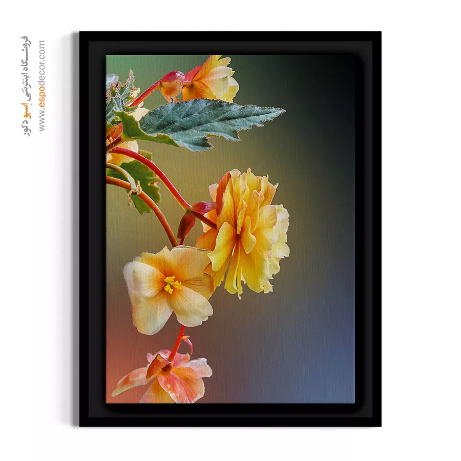 تابلو تم زرو و نارنجی - گل بگونیا – تابلو گل - اسپو دکور