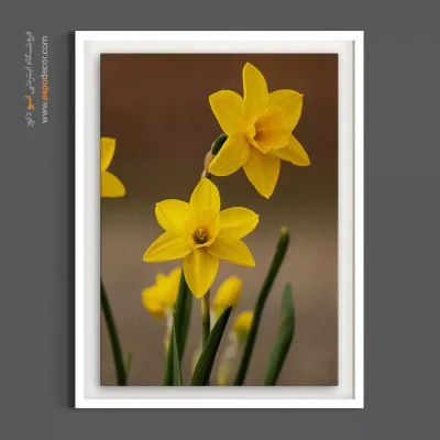 تابلو کلینیک - نرگس زرد – تابلو گل - اسپو دکور
