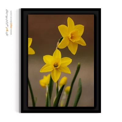 تابلو کلینیک - نرگس زرد – تابلو گل - اسپو دکور