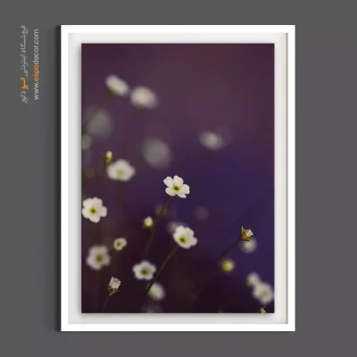 دکوراسیون بوتیک و گالری - گل ریز مینیمال – تابلو گل - اسپو دکور