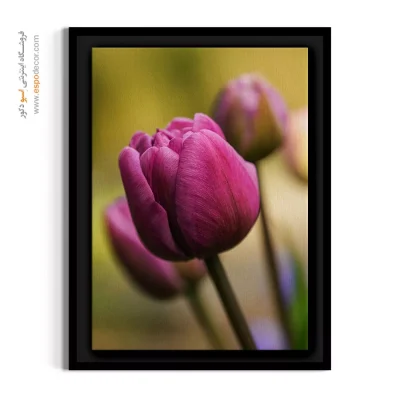 خرید تابلو دکوراتیو لاله - غنچه لاله – تابلو گل - اسپو دکور