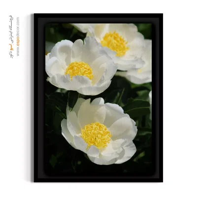 دکوراسیون دفتر کار - گل صدتومانی – تابلو گل - اسپو دکور