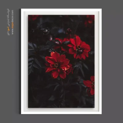 تابلو رستوران لوکس - کوکب قرمز – تابلو گل - اسپو دکور