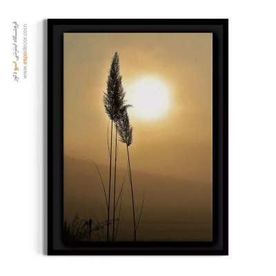 خرید تابلو دکوراتیو نیزار - علفزار – تابلو گل - اسپو دکور