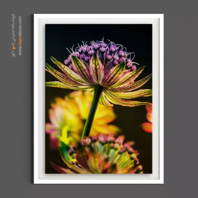 تابلو دکوراسیون شیک - ستارهای – تابلو گل - اسپو دکور