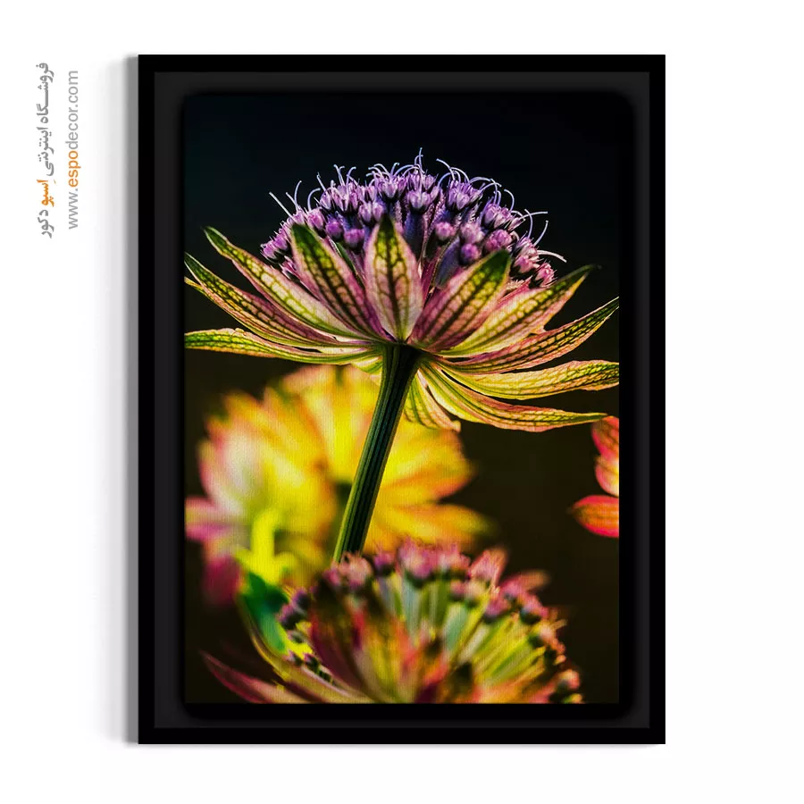 تابلو دکوراسیون شیک - ستارهای – تابلو گل - اسپو دکور