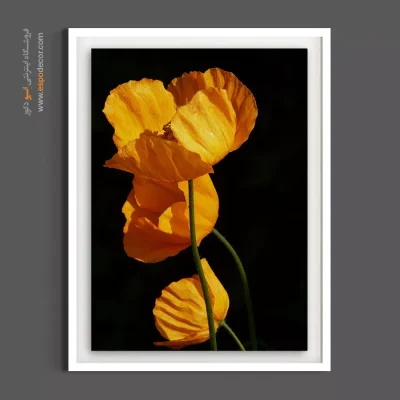 تابلو برای کافه‌های مدرن - پنی ایسلندی – تابلو گل - اسپو دکور