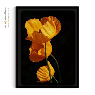 تابلو برای کافه‌های مدرن - پنی ایسلندی – تابلو گل - اسپو دکور