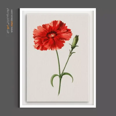 تابلو رمانتیک و وینتج - میخک – تابلو گل - اسپو دکور