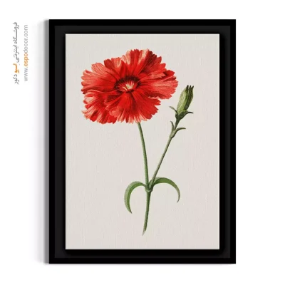 تابلو رمانتیک و وینتج - میخک – تابلو گل - اسپو دکور