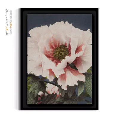 تابلو برای سالن های مجلل - نقاشی گل صدتومانی – تابلو گل - اسپو دکور