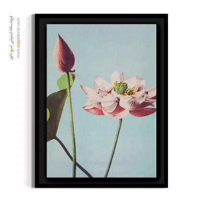 تابلو با تم رنگی آرام - نیلوفر آبی – تابلو گل - اسپو دکور