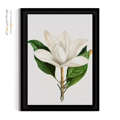 تابلو برای لابی - ماگنولیا جنوبی – تابلو گل - اسپو دکور