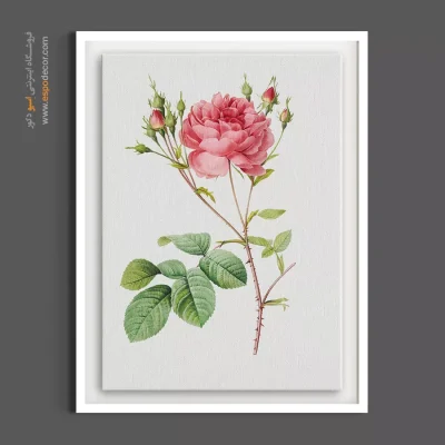 دکوراسیون اتاق خواب رمانتیک - کامبرلند رز – تابلو گل - اسپو دکور