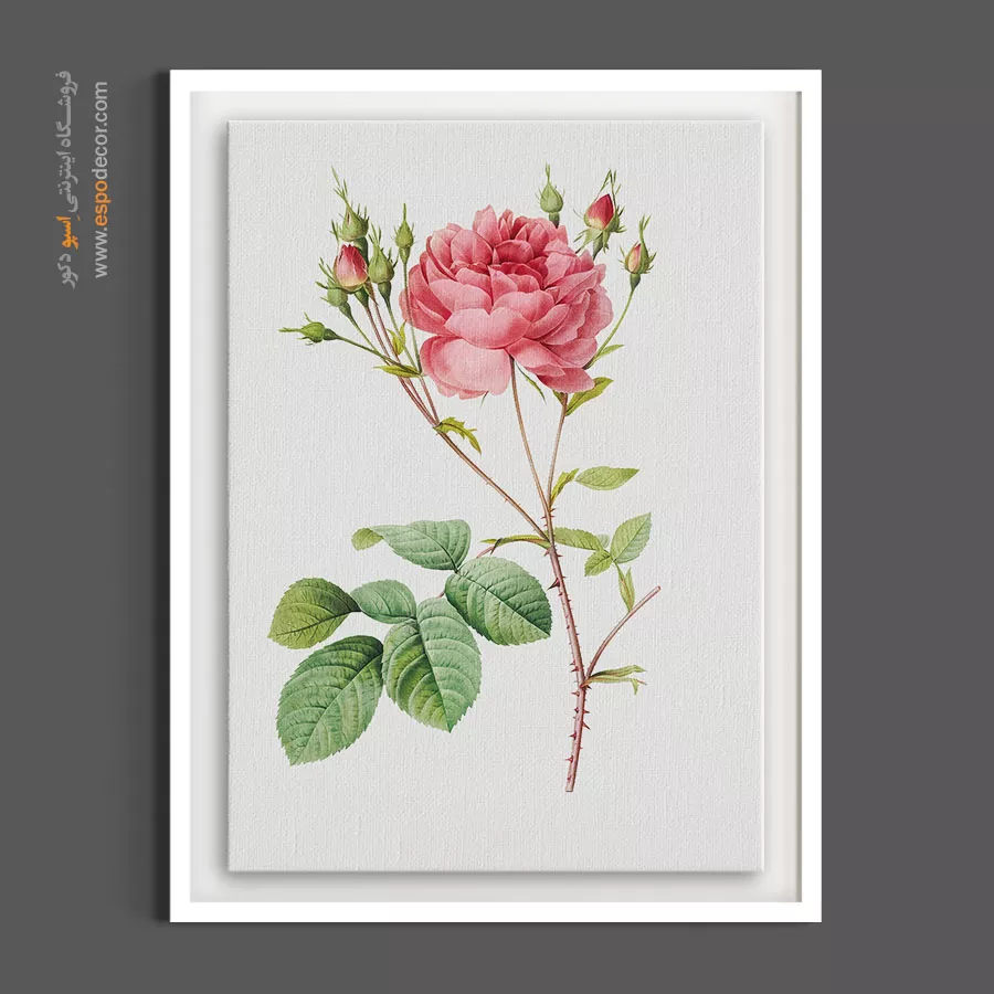 دکوراسیون اتاق خواب رمانتیک - کامبرلند رز – تابلو گل - اسپو دکور