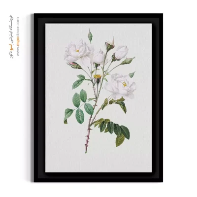 تابلو شیک مینیمال - گل رز کامپانولاتا – تابلو گل - اسپو دکور