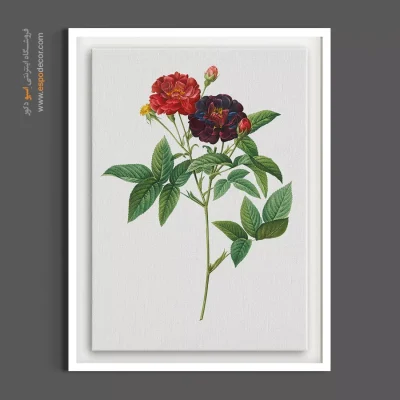 تابلو کلاسیک لوکس - رز ون ایدن – تابلو گل - اسپو دکور