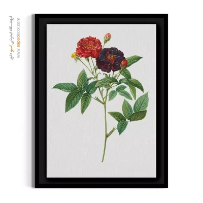 تابلو کلاسیک لوکس - رز ون ایدن – تابلو گل - اسپو دکور