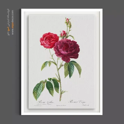 تابلو لابی هتل بوتیک - رز فرانسوی – تابلو گل - اسپو دکور