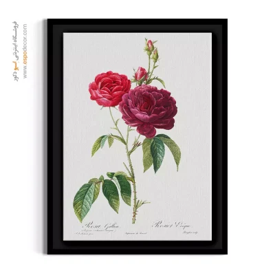 تابلو لابی هتل بوتیک - رز فرانسوی – تابلو گل - اسپو دکور