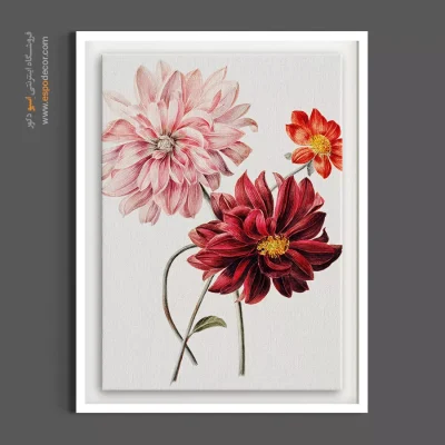 دکوراسیون رمانتیک - کوکب‌ها اثر ویلم هکینگ – تابلو گل - اسپو دکور