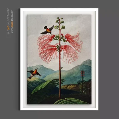 خرید تابلو دکوراتیو گرمسیری - آکاسیا و مرغ مگسخوار – تابلو گل - اسپو دکور