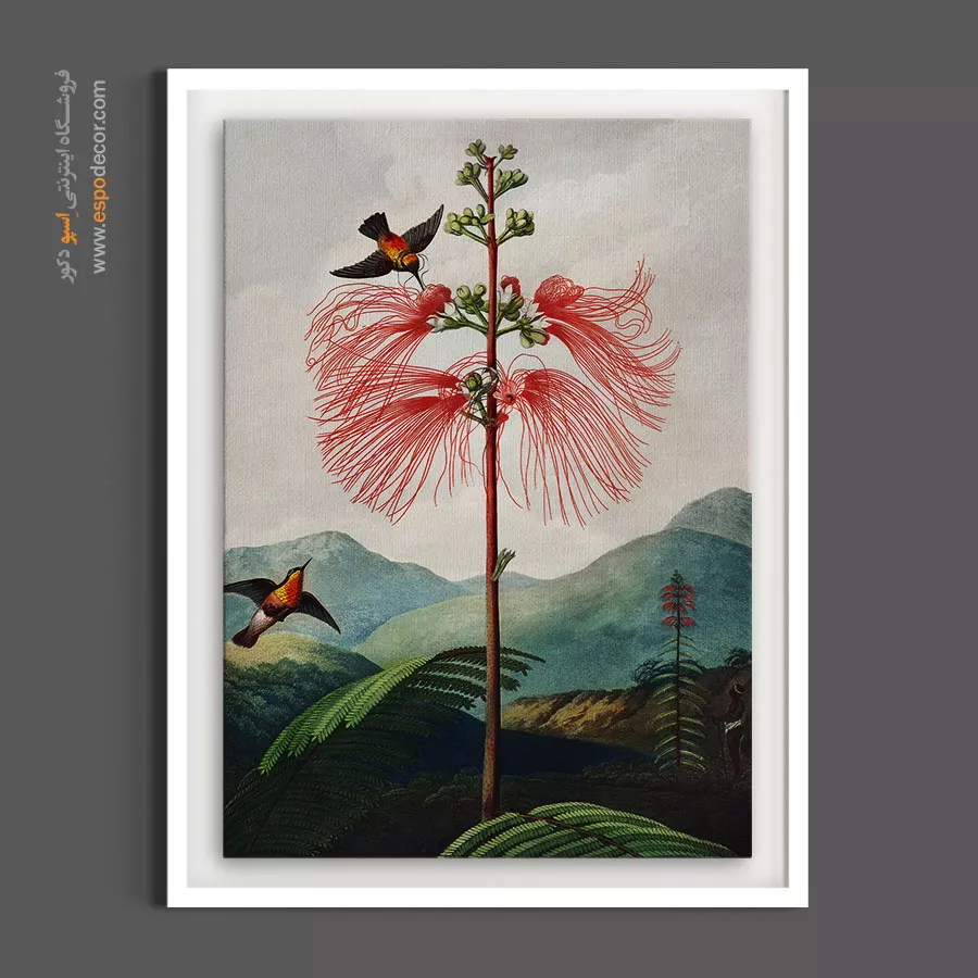 خرید تابلو دکوراتیو گرمسیری - آکاسیا و مرغ مگسخوار – تابلو گل - اسپو دکور