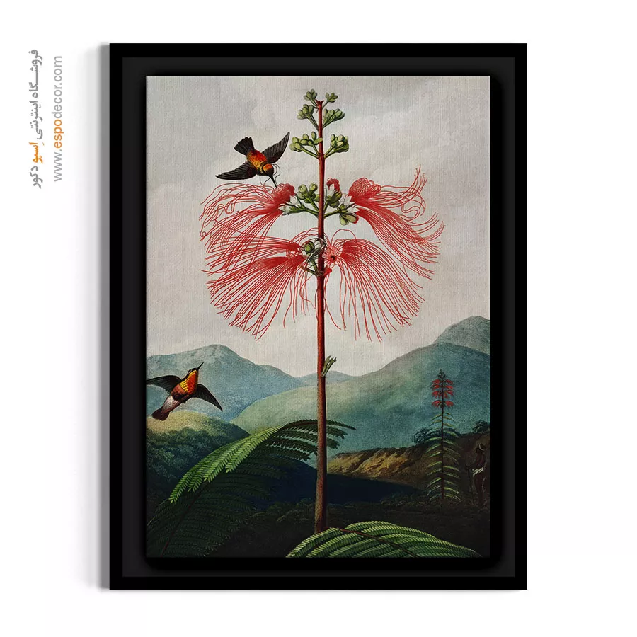 خرید تابلو دکوراتیو گرمسیری - آکاسیا و مرغ مگسخوار – تابلو گل - اسپو دکور
