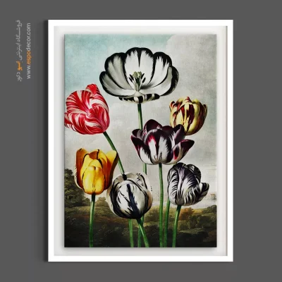 دکوراسیون دفتر مدیریت - لاله‌ها از معبد فلورا – تابلو گل - اسپو دکور