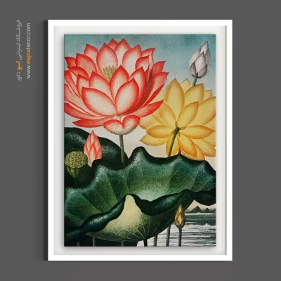 دکوراسیون با تم ذن و لوکس آسیایی - گل لوتوس – تابلو گل - اسپو دکور