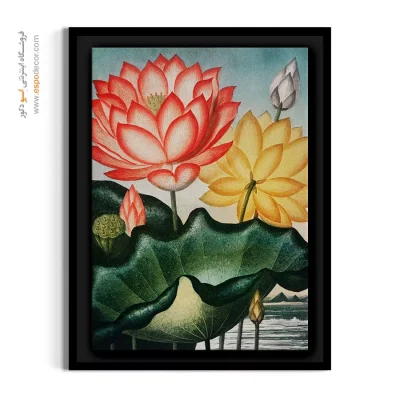 دکوراسیون با تم ذن و لوکس آسیایی - گل لوتوس – تابلو گل - اسپو دکور