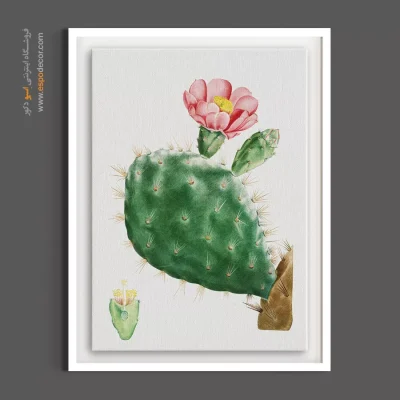 خرید تابلو دکوراتیو کاکتوس - کاکتوس گلابی خاردار – تابلو گل - اسپو دکور