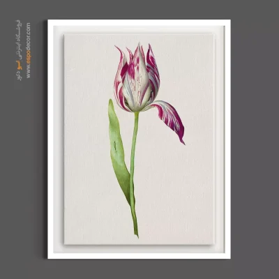 خرید تابلو برای مزون - گل لاله – تابلو گل - اسپو دکور
