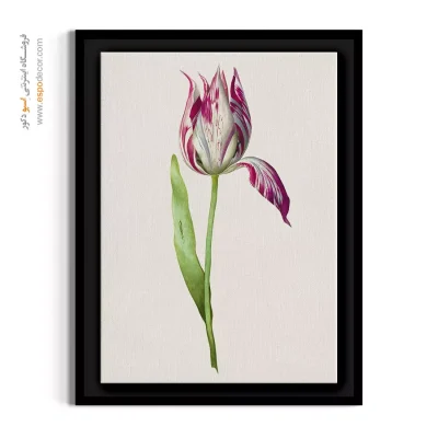 خرید تابلو برای مزون - گل لاله – تابلو گل - اسپو دکور