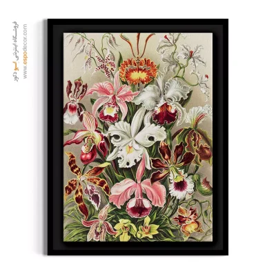 تابلو سبک کلکسیونی - ارکیده‌ها – تابلو گل - اسپو دکور