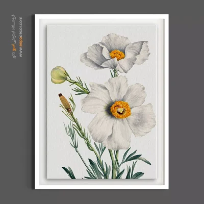 خرید تابلو دکوراتیو سفید - ماتیلیا پاپی – تابلو گل - اسپو دکور