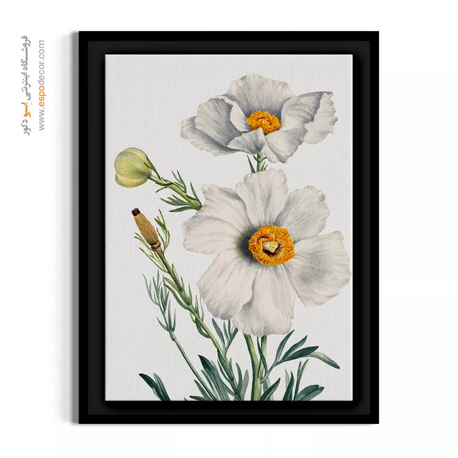 خرید تابلو دکوراتیو سفید - ماتیلیا پاپی – تابلو گل - اسپو دکور