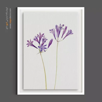 تابلو مناسب راهرو مطب - سوسن آفریقایی – تابلو گل - اسپو دکور