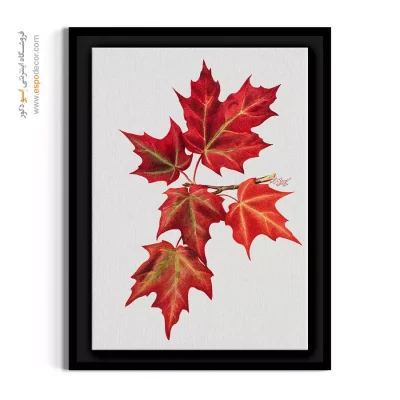 خرید تابلو دکوراتیو برگ افرای قرمز - برگ افرا قرمز – تابلو گل - اسپو دکور
