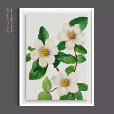 خرید تابلو دکوراتیو گل سفید - زغال اخته اقیانوس آرام – تابلو گل - اسپو دکور