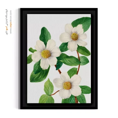 خرید تابلو دکوراتیو گل سفید - زغال اخته اقیانوس آرام – تابلو گل - اسپو دکور