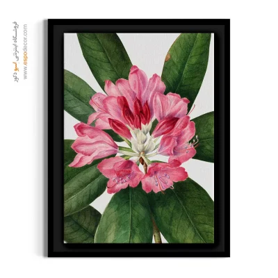 تصویرسازی کلاسیک و لوکس - رودودندرون – تابلو گل - اسپو دکور